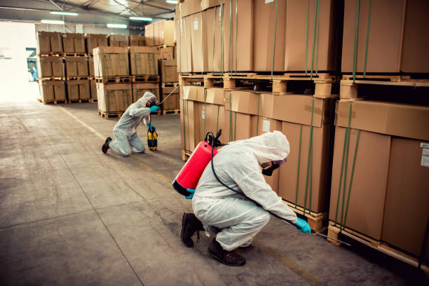 Best Affordable Pest Control Services  in Shingletown, CA