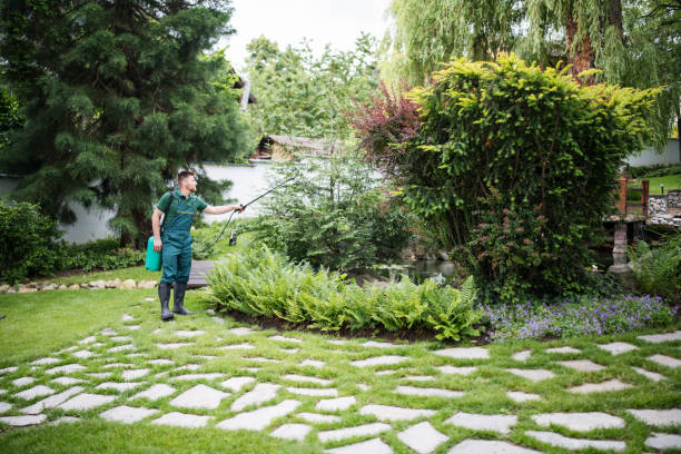 Best Cockroach Control Services  in Shingletown, CA