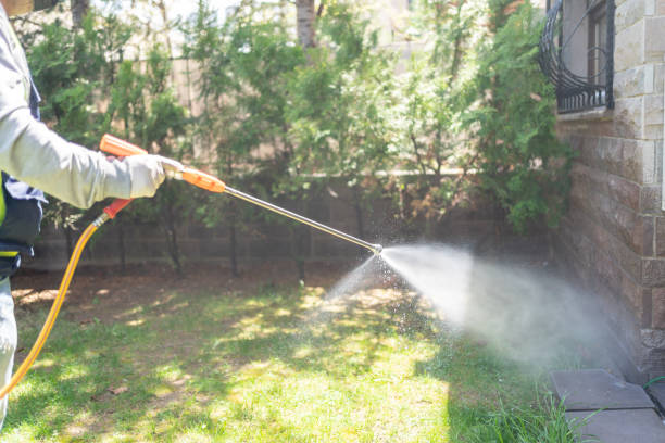 Best Pest Prevention Services  in Shingletown, CA