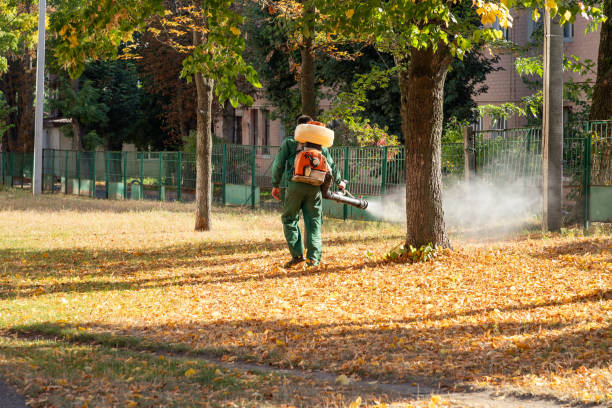 Best Exterminator Services  in Shingletown, CA