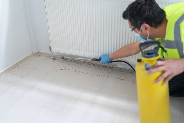 Best Best Pest Control Companies  in Shingletown, CA
