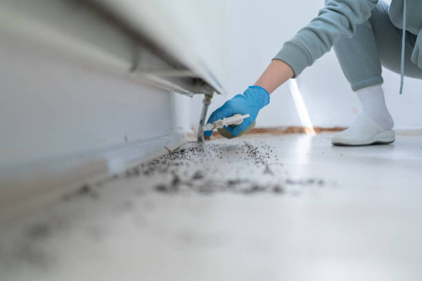 Wildlife Control Services in Shingletown, CA