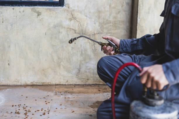 Best Best Pest Control Companies  in Shingletown, CA